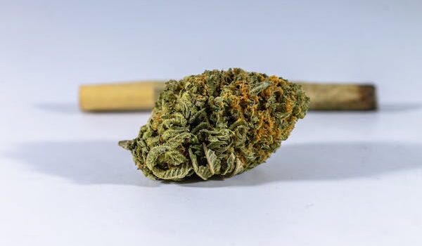 What is Marijuana good for